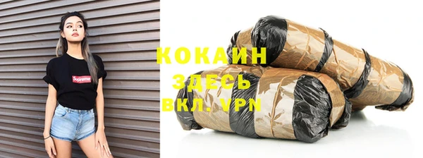стафф Касимов