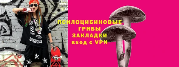 спиды Киреевск