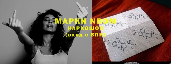 мдпв Карпинск