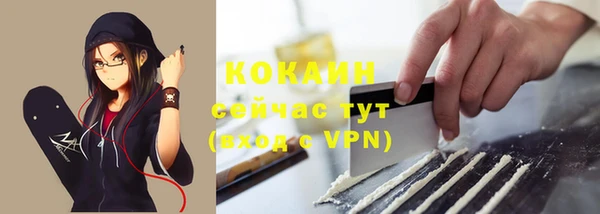 стафф Касимов