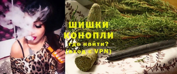 мдпв Карпинск