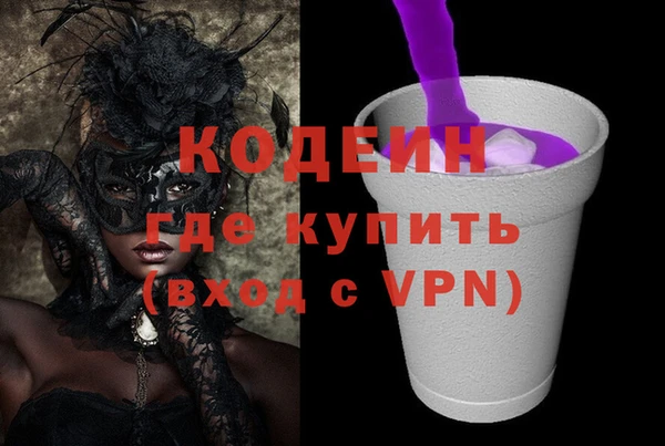 мдпв Карпинск