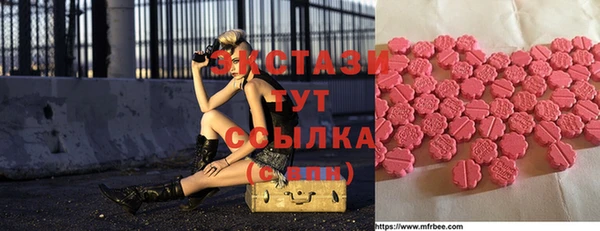 стафф Касимов