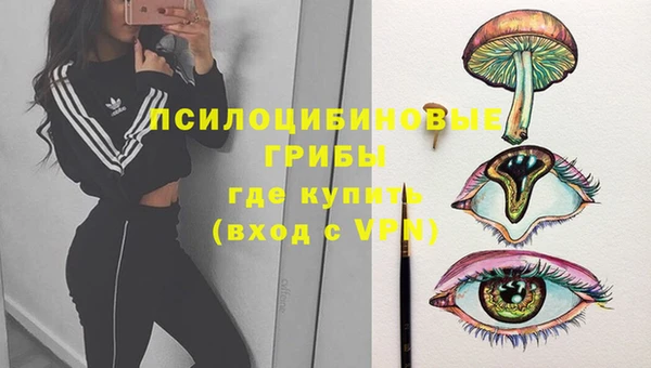 прущая мука Карталы