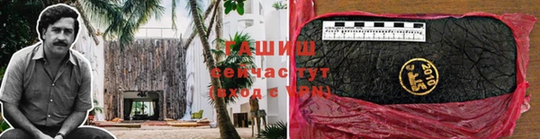 стафф Касимов