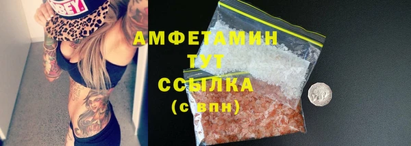 мдпв Карпинск