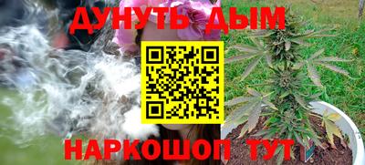 каннабис Новодвинск