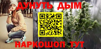 мет Новозыбков