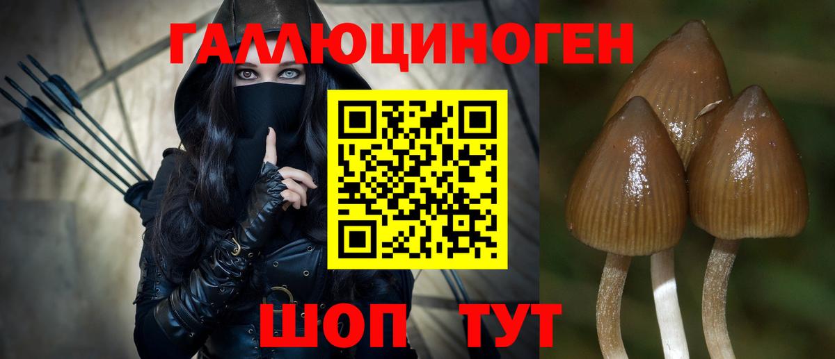 Псилоцибиновые грибы прущие грибы  Вход с VPN  Липецк 